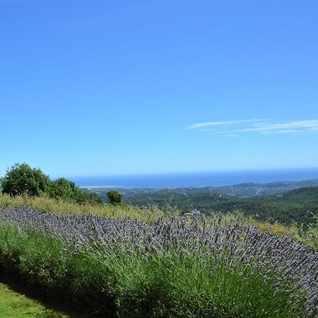 Bed and Breakfast La Bastide Des Pins Vence Esterno foto