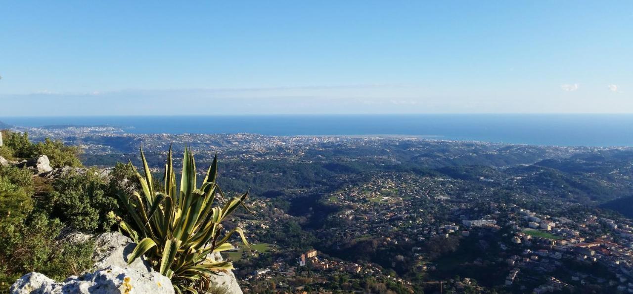 Bed and Breakfast La Bastide Des Pins Vence Esterno foto