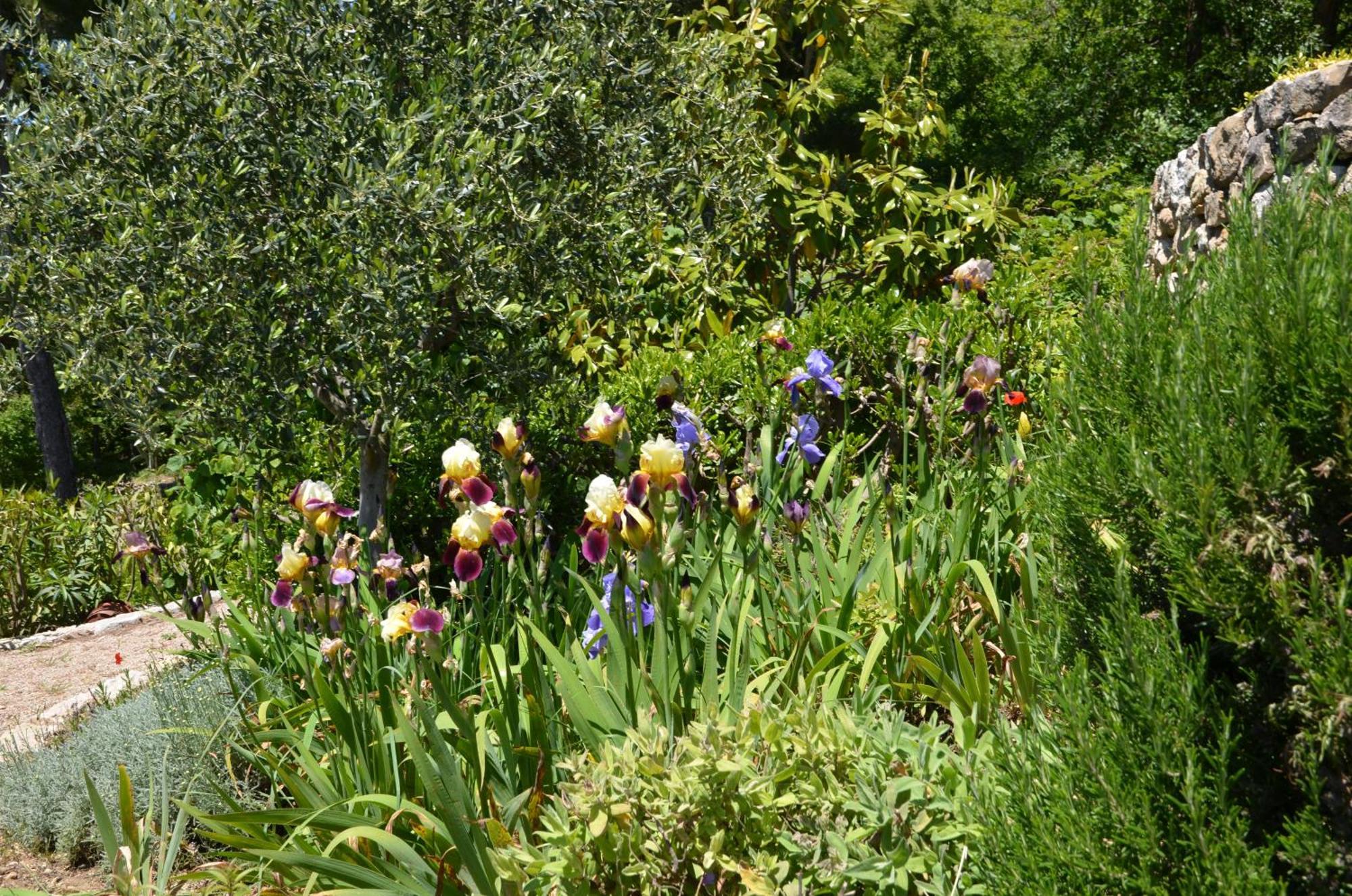 Bed and Breakfast La Bastide Des Pins Vence Esterno foto